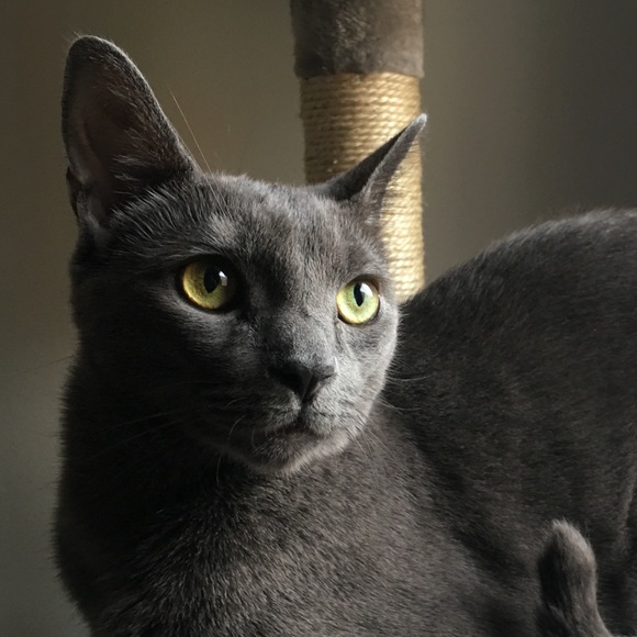 Meet your Posher, Jessica - Picture 3 of 4